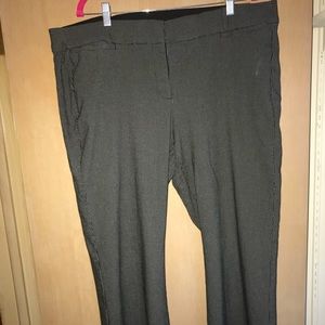Lane Bryant Allie pants